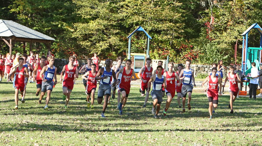 THE 2014 Middlesex Freedom League champion Melrose High boy's cross country team. (file photo)