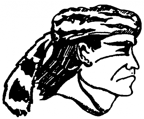 Pioneer_logo_web