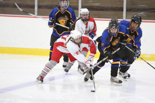 JULIANNE BOURQUE, a junior forward (#10), battles a Lexington player for the puck during last night’s season opener at the Kasabuski Arena. Bourque scored two goals as the Warriors tied Lexington, 2-2. (Donna Larsson Photo)
