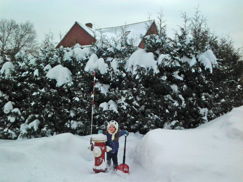 LITTLE Anastasia Tarozzi, known as Anya by family members, is here for a visit from Italy with her mom Emily Mathews. After Tuesday’s blizzard, Anya helped her grandfather shovel out the fire hydrant near his home on Park Avenue.