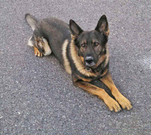 AFTER EIGHT YEARS, Jony is leaving local law enforcement work.