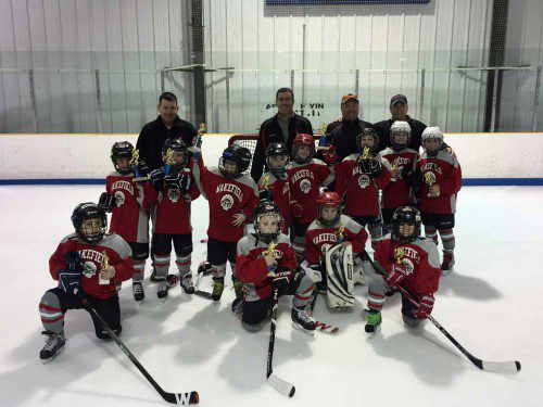 THE MITE 2 hockey team came up just short of a Valley League championship and was the runner-up. In the front row are Cole Reeves, Cameron DePrizio, Cash Kearney and Rebecca Melanson. In the second row are Jack VanDorpe, Trevor Veilleux, Matt Reed, Tommy DeFeo, Julia Welch, Andrew Poires, Ethan Jussaume and Tyler Roycroft. The coaches are Andy Reed, Bill Welch, Chuck Reeves and Tommy DiPrizio.
