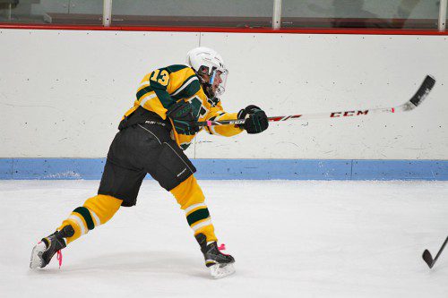 SOPHOMORE SHOT. Jared Valade, number 13 for the Hornets, takes his shot on net. (Stephanie Tannian Photo)
