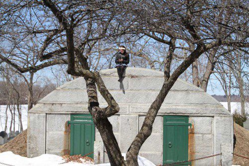 THIS YOUNG WOMAN works her smartphone in the Old Burying Ground.  (Donna Larsson Photo)