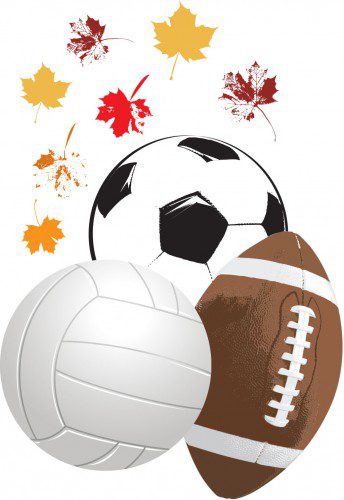 fallsports_web