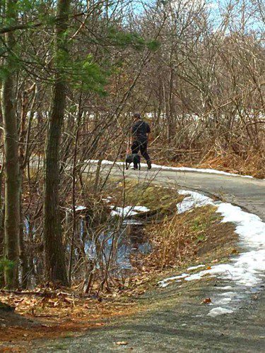 North Reading Police got a boost from social media in finding this dog owner to investigate an incident where two people were allegedly bitten. (Courtesy Photo)