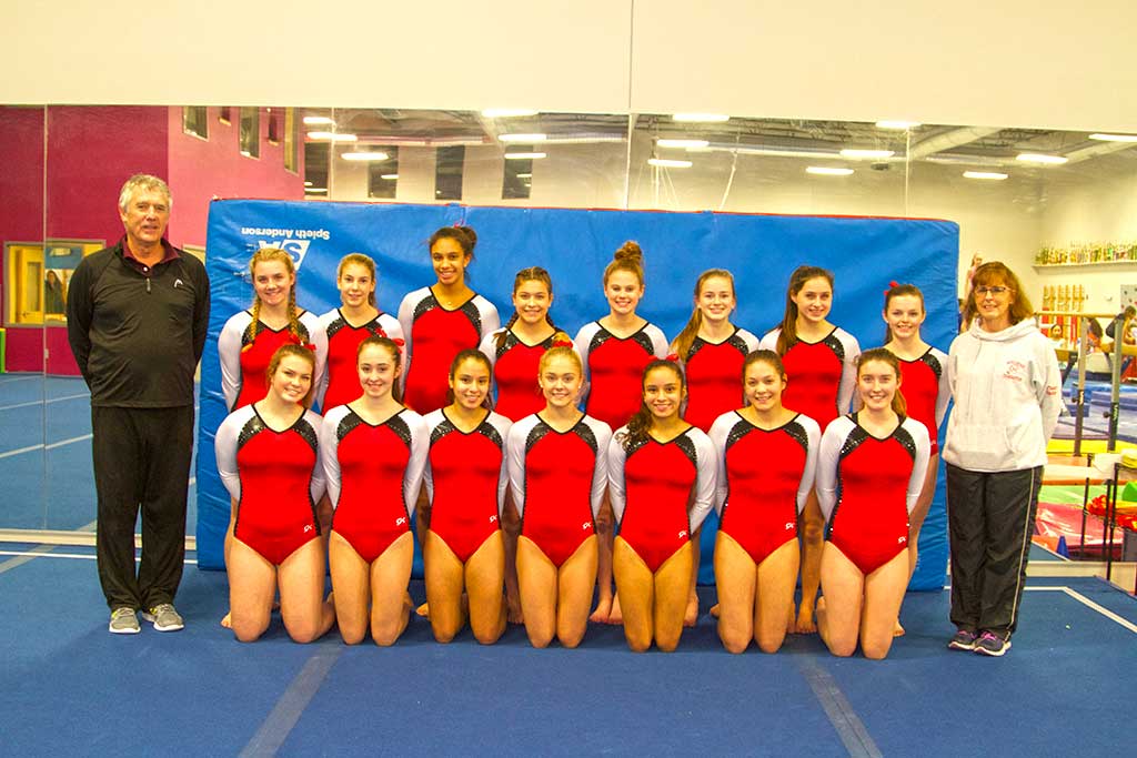 THE MELROSE HIGH gymnastics team represented well at the 2017 MIAA North Sectionals. Pictured is the team (back row, left) Asst. coach Dave Montani, Caroline Fogarty, Jane Harrington, Nicole Nzui, Gabrielle Prodgers, Elizabeth Blatchford, Katie Wright, Nia Kovacev, Brooke Barriss and head coach Denise Valdez. (front row) Olivia Bernis, Mya Marshall, Tania Dutra, Shay Fennell, Stephanie Dutra, Isabel Albuja, Kara Fahey. Not pictured: Ciara Smith. (Donna Larsson photo)
