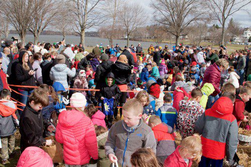 THERE WERE KIDS — and chocolate eggs — for as far as the camera lens could see Saturday during the annual hunt for Easter eggs put on by the Wakefield Center Neighborhood Association. (Donna Larsson Photo)