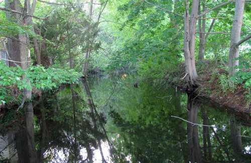 THE MILL RIVER flows lazily along the south side of Water Street before it ducks under Farm Street and continues into Saugus. (Mark Sardella Photo)