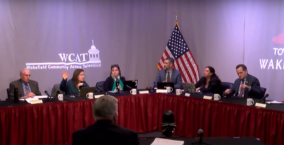 Wakefield Town Council 2024