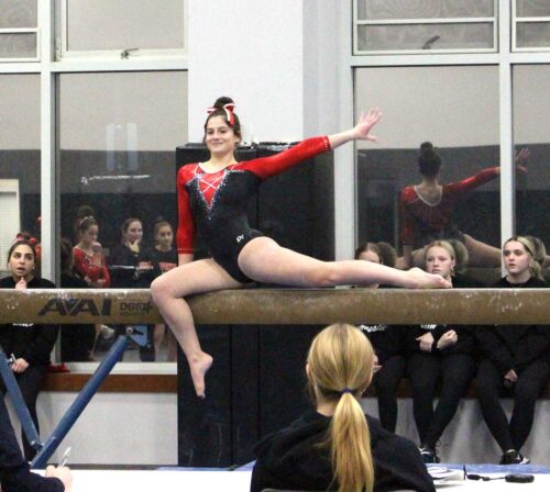 Gymnastics 2023-2024