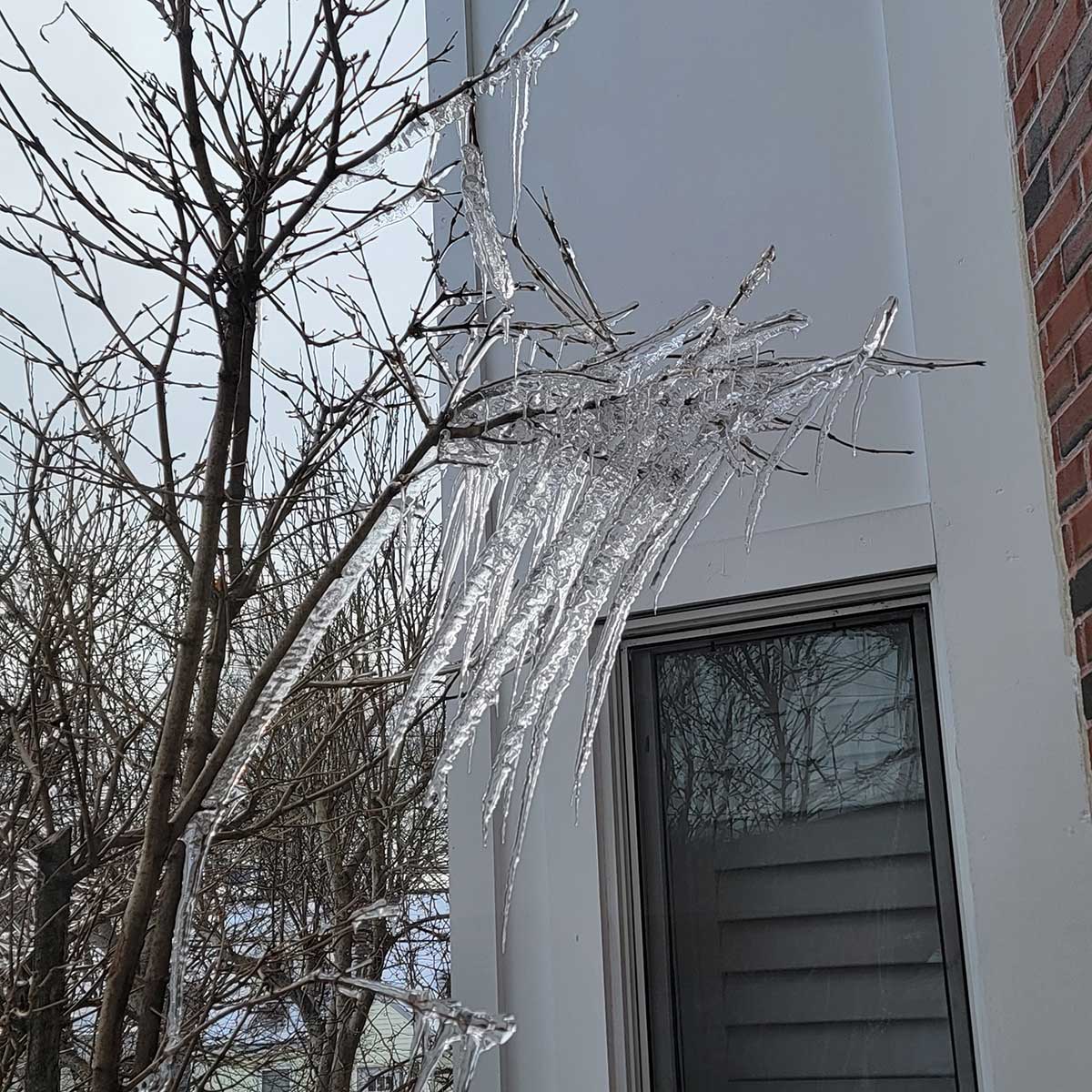 Photo feature Wakefield