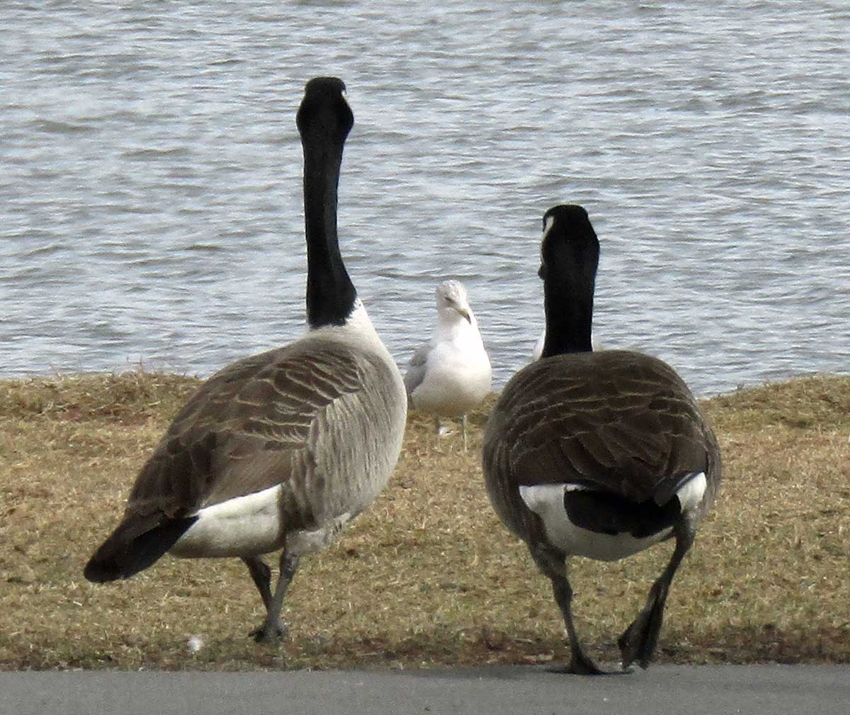 Feature Photograph 2024