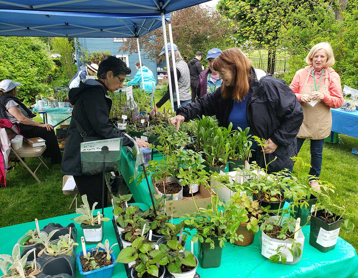 Plenty to choose from