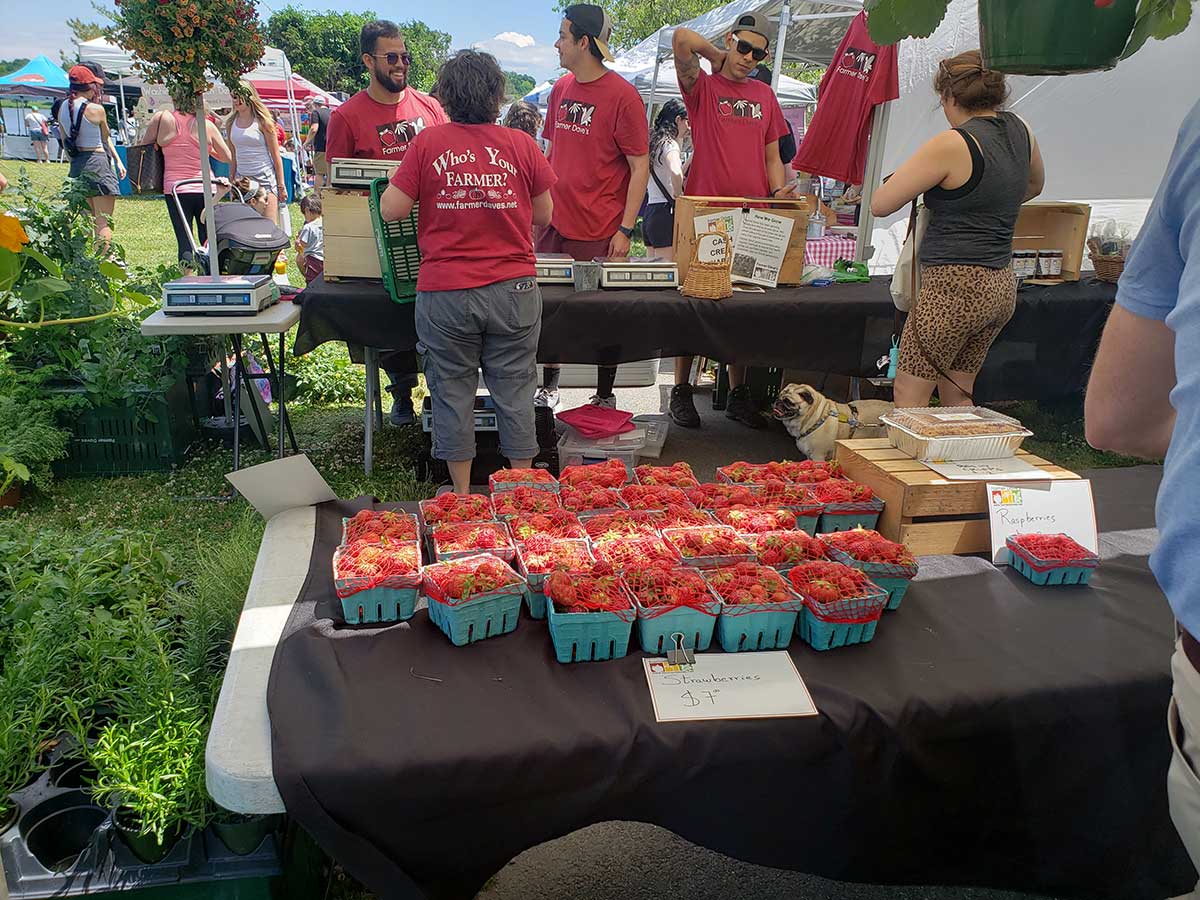 Farmer's Market 2024